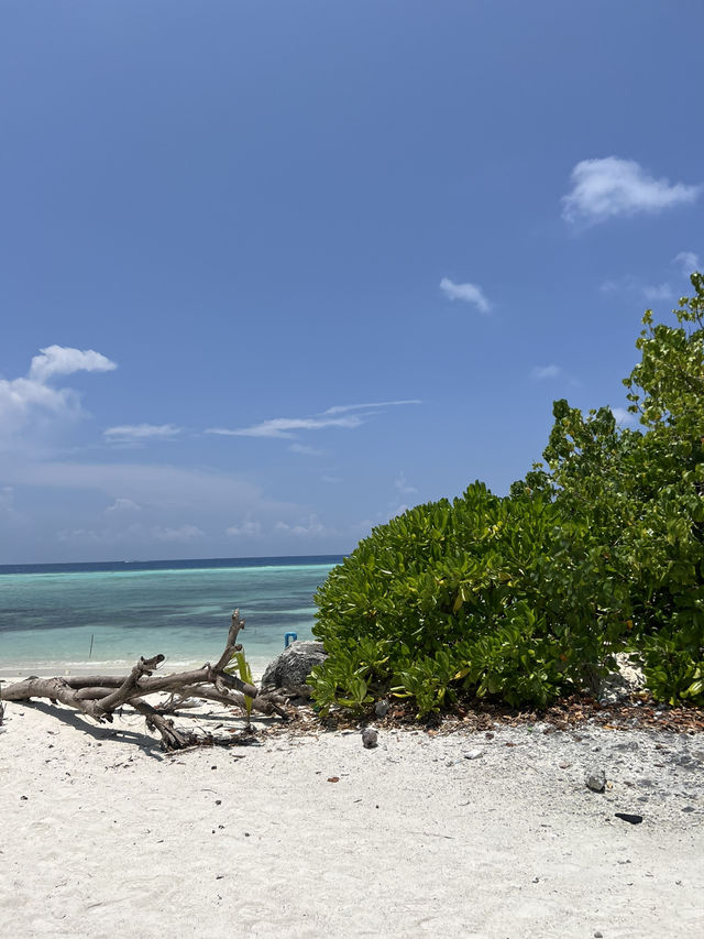 The perfect spring getaway to Maldives!