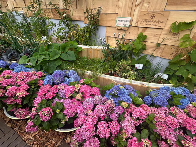  Flower Show~ Enjoy the nature of beauty