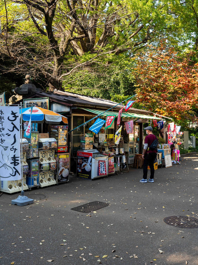 上野公園のスナップ – 文化と自然が融合する街歩き 上野公園のスナップ – 文化と自然が融合する街歩き