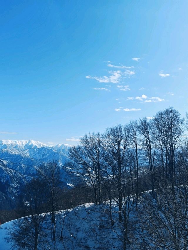 เล่นสกี ที่ Gala Yuzawa 