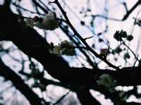 自然とふれあう、のびのび癒し広場🌸