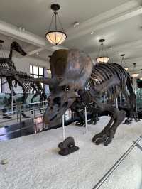 American Museum of Natural History