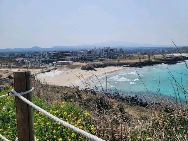 🌼서우봉 – 유채꽃 향기 가득한 봄날의 제주 여행