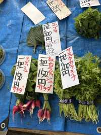 大公開: 普段着の鎌倉お使い・レンバイで鎌倉野菜を買うコツ 【鎌倉移住】