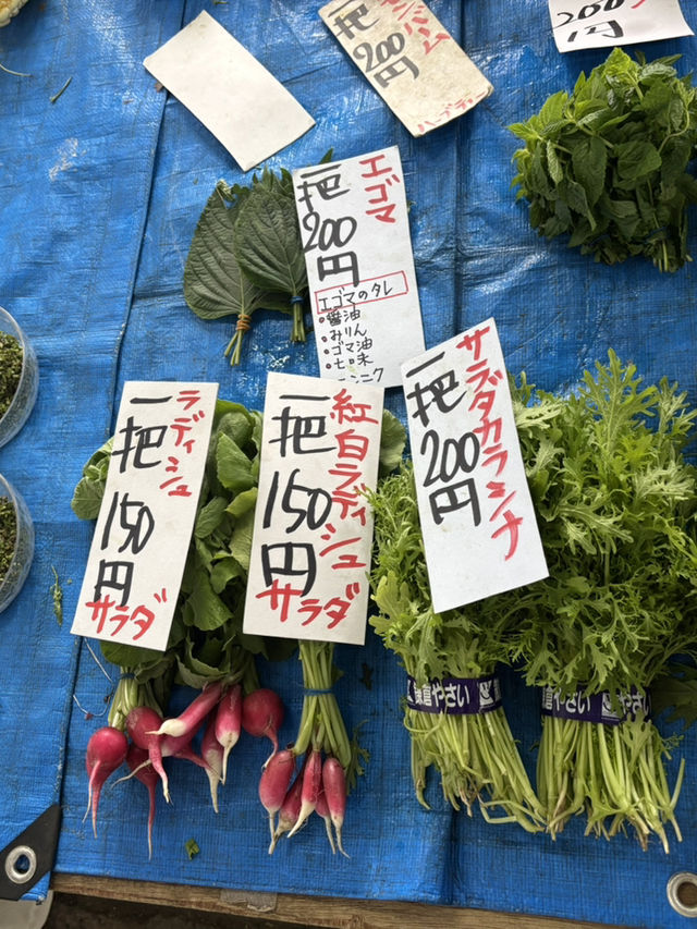 大公開: 普段着の鎌倉お使い・レンバイで鎌倉野菜を買うコツ 【鎌倉移住】