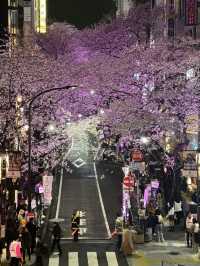 東京賞櫻攻略：中目黑、澀谷、中野、芝公園，一次蒐集所有粉嫩美景！🌸