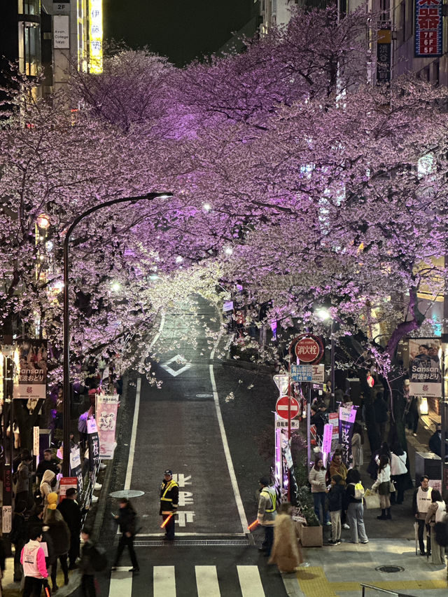東京賞櫻攻略：中目黑、澀谷、中野、芝公園，一次蒐集所有粉嫩美景！🌸