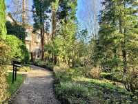 Fletcher Moss Botanical Gardens