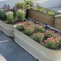 คาเฟ่ sunseouls คาเฟ่สไตล์เกาหลีริมหาดแสงจันทร์