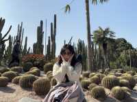  **🌵【廈門必打卡】園林植物園多肉區：闖入奇幻沙漠綠洲，與3000種多肉共舞！🏜️**  