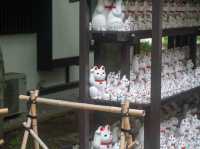 福を呼び込む春のひととき！豪徳寺スナップ🐾🌸