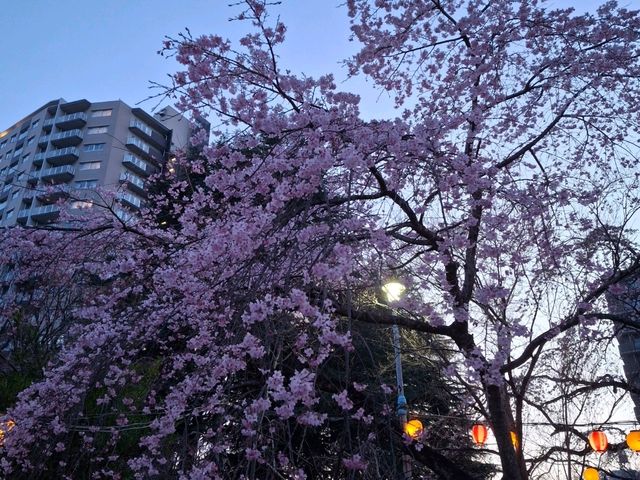 仙台榴岡公園