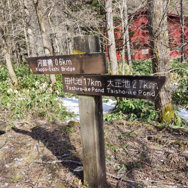 上高地春日輕健行，走進雪未融的山中詩境。