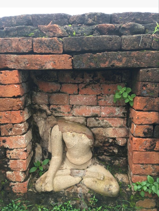 🇮🇳 世上第一所大學+祇園精舍