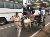 🇮🇳 世上第一所大學+祇園精舍