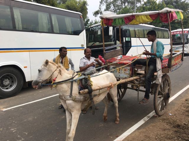 🇮🇳 世上第一所大學+祇園精舍