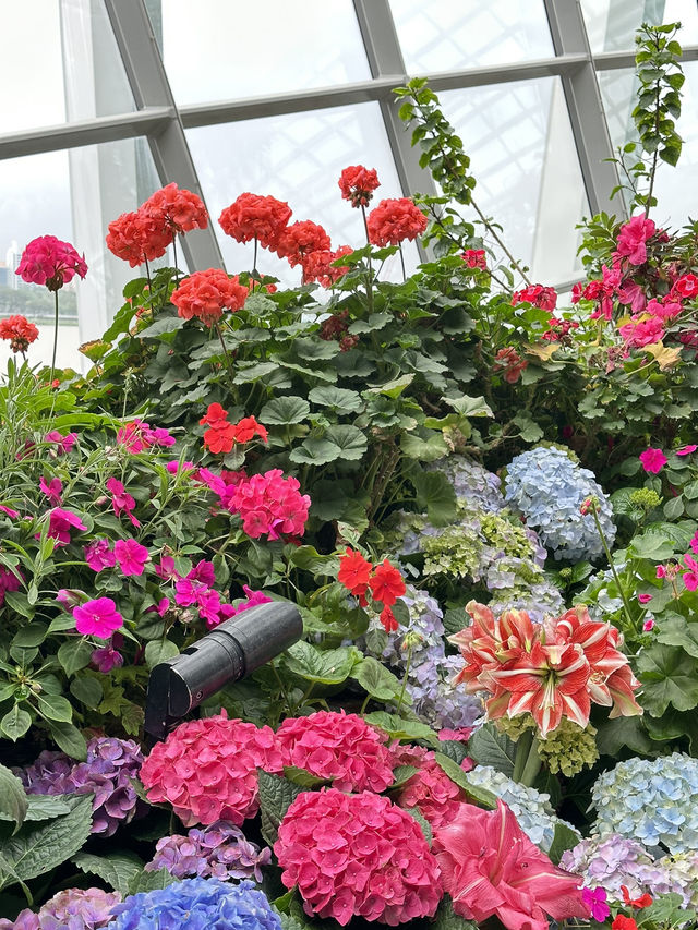 Stunning Iconic🌸FLOWER DOME🌼Singapore