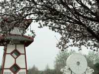 Where History Comes Alive: A Walk Through Handan’s Zhao Garden Park
