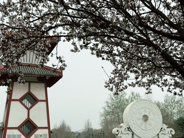 Where History Comes Alive: A Walk Through Handan’s Zhao Garden Park