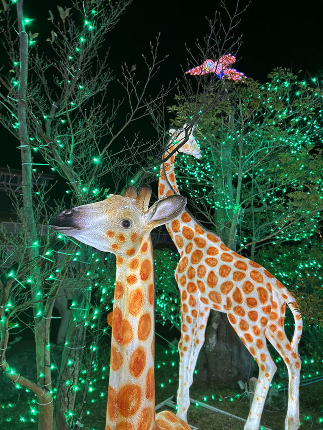 【福岡】毎年異なるテーマが楽しみなイルミネーション✨