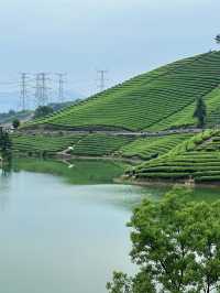 2 Days 1 Night Wuyi Itinerary