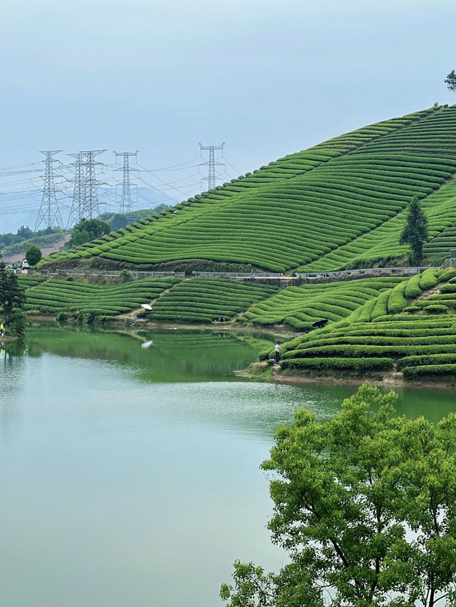 2 Days 1 Night Wuyi Itinerary