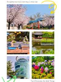Wolmi Park Travel Review: Daytime Delights and Blooming Beauty 🏞️🌸🚶‍♀️