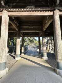 【千葉】続く参道に並ぶ灯篭 が美しい景観