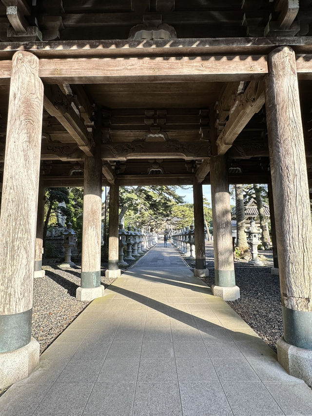 【千葉】続く参道に並ぶ灯篭 が美しい景観