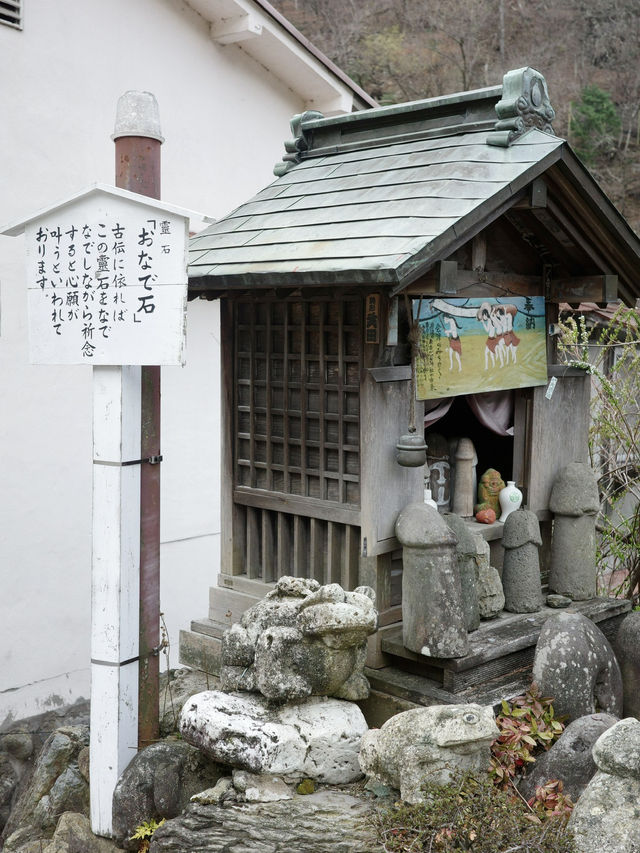 📍 川治温泉薬師の湯キャンプ場/栃木