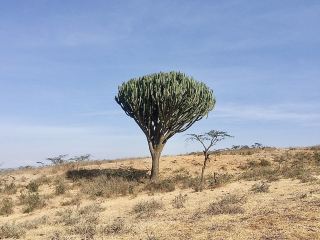 Ngorongoro Crater: A Natural Kingdom of Wildlife