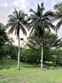 “Taman Wawasan: Where Nature Leads the Way”