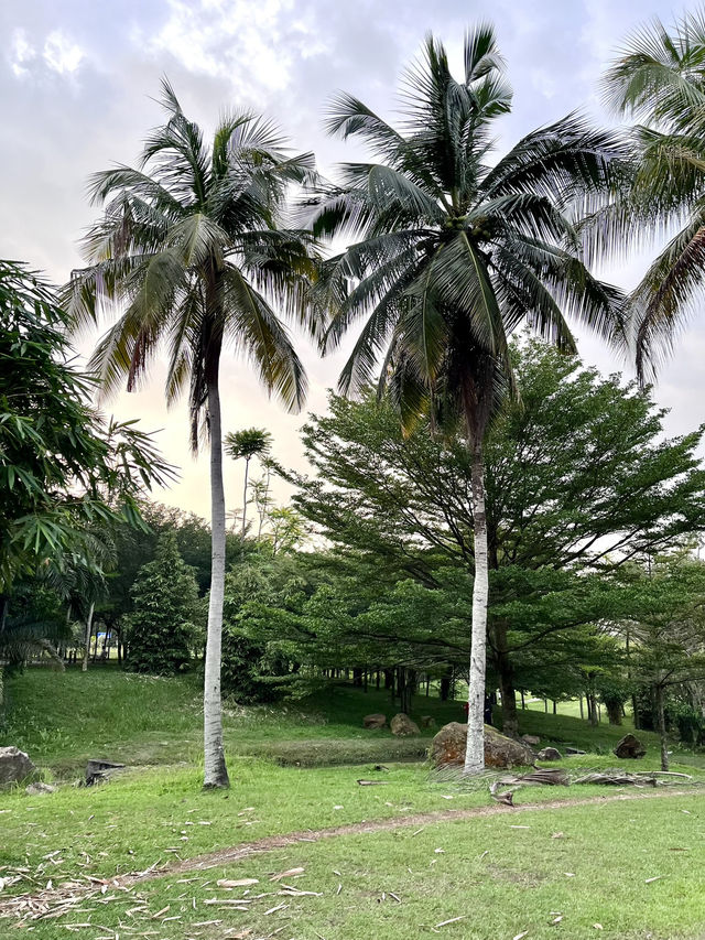 “Taman Wawasan: Where Nature Leads the Way”