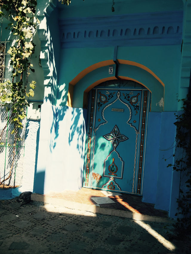青と猫の街シャウエン　モロッコ🇲🇦