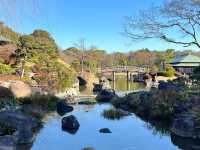 絕美靜謐大仙公園日本庭園🌿