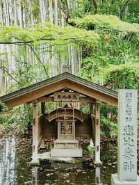 Off the beaten path Tokyo - Taishoji