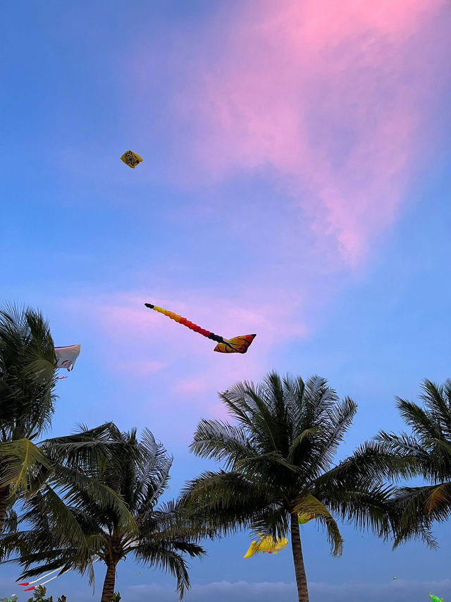 Kite park in Quy Nhon city