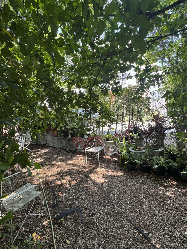 คาเฟ่ลับกลางสวนเขียว Slole Cafe & Garden โชคชัย4