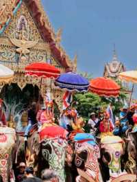 เก็บภาพมาฝาก ประเพณีเเห่ช้างบวชนาค