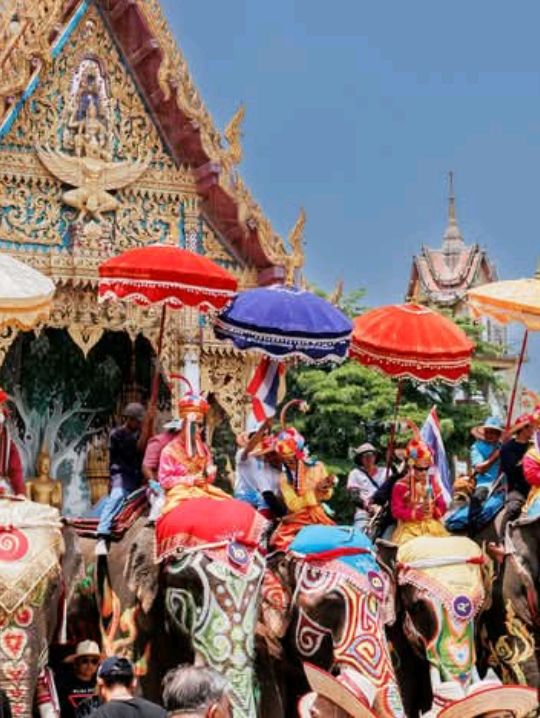 เก็บภาพมาฝาก ประเพณีเเห่ช้างบวชนาค