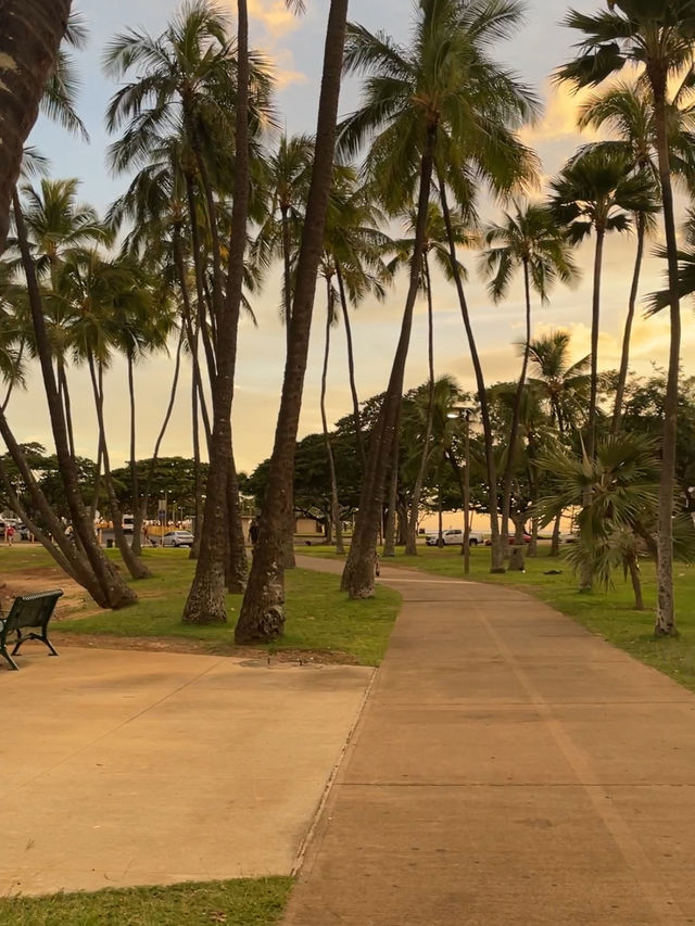 【ハワイ|ホノルル】Ala Moana Beach⛱️