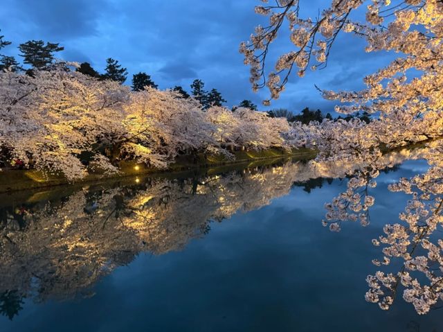Petals and Palaces: The Magic of Hirosaki’s Cherry Blossoms
