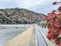 【京都🏵️嵐山】お花を浮かべる足湯カフェで癒される♡