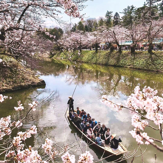 走吧！赴一場粉色之約🌸