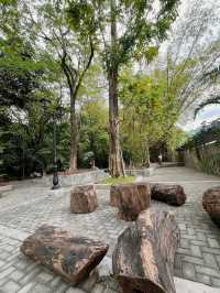 A Breath of Fresh Air: Discovering Arroceros Forest Park 