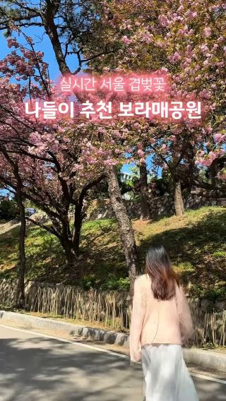 서울에서 가장 예쁜 겹벚꽃이 가득한 공원🌸