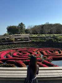 🌳 The Getty Garden, 예술과 자연의 조화!