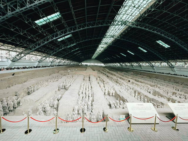 Terra-Cotta Warriors 西安兵馬俑🗿