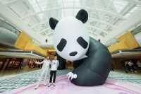 🐼10米長7米高充氣熊貓藝術裝置首度登港