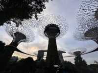 Gardens by the Bay: A Futuristic Oasis in the Heart of Singapore